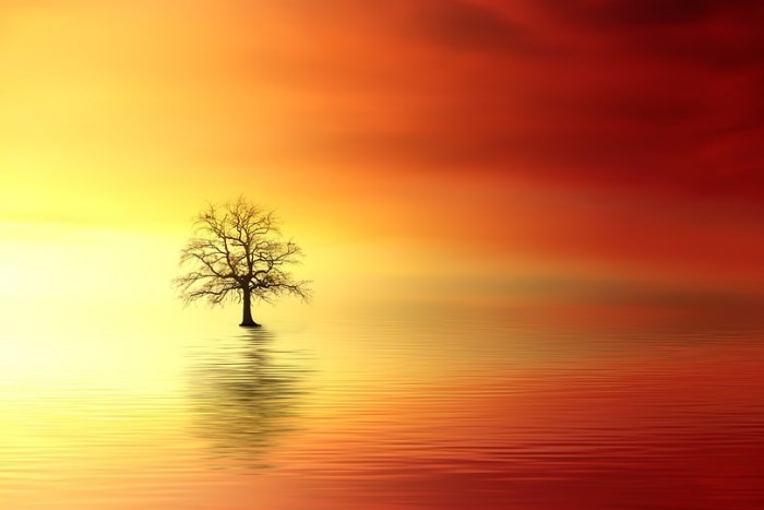 Sunset Dawn Sun Nature Dusk Evening Sky Summer